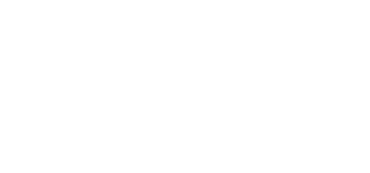 New Zealand Ice Fernz